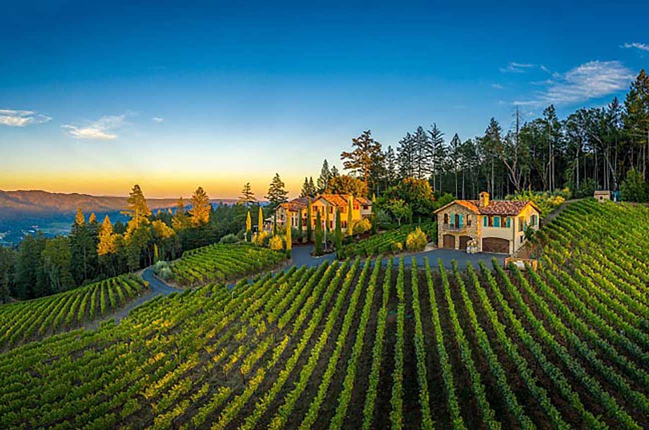 a-complete-local-guide-to-living-in-vineyard-ca